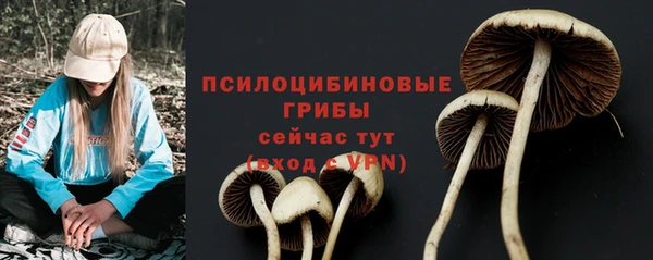 сатива Нея
