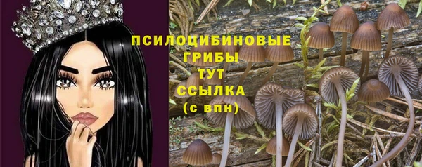 mdma Новозыбков