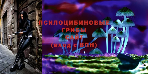 метадон Нефтегорск