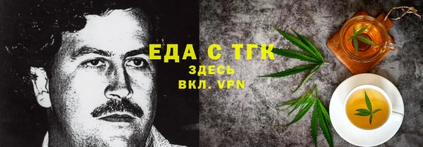 индика Протвино