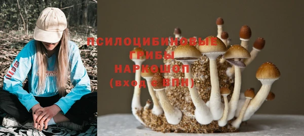каннабис Новокубанск