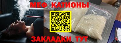 индика Гатчина