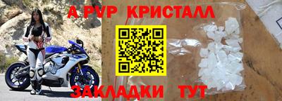 индика Гатчина