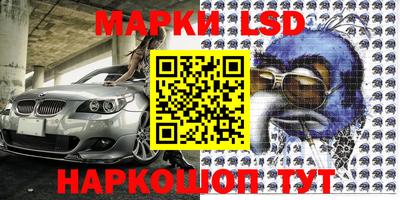 шишки Будённовск