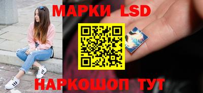 индика Гатчина
