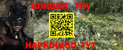 индика Гатчина