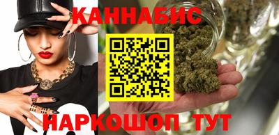 индика Гатчина