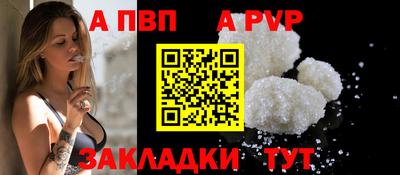 индика Гатчина