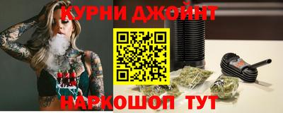 индика Гатчина