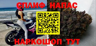 индика Гатчина