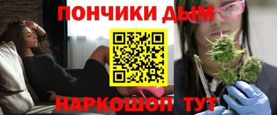 индика Гатчина