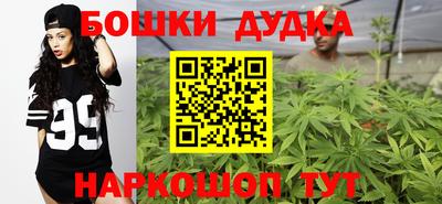 индика Гатчина