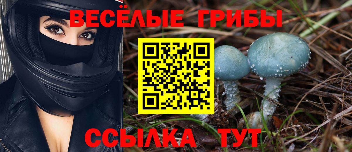Калач-на-Дону  Псилоцибиновые грибы ЛСД  Вход с VPN 